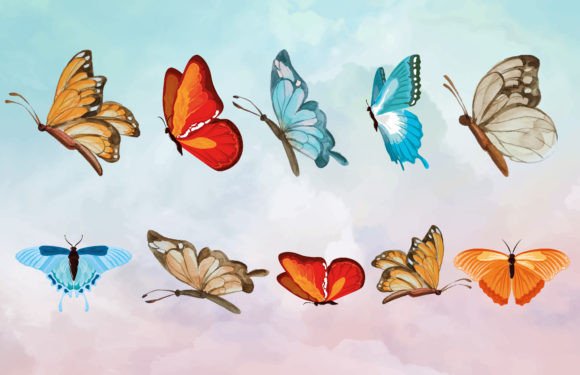 Download Watercolor Butterfly EPS Vector and JPEG - Color Collection