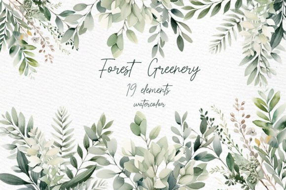 Download Greenery Watercolor Clipart Foliage - Color Collection