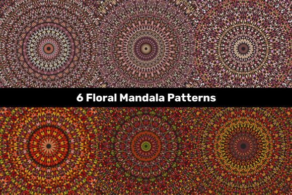 Download 6 Multicolored Floral Mandala Patterns - Color Collection